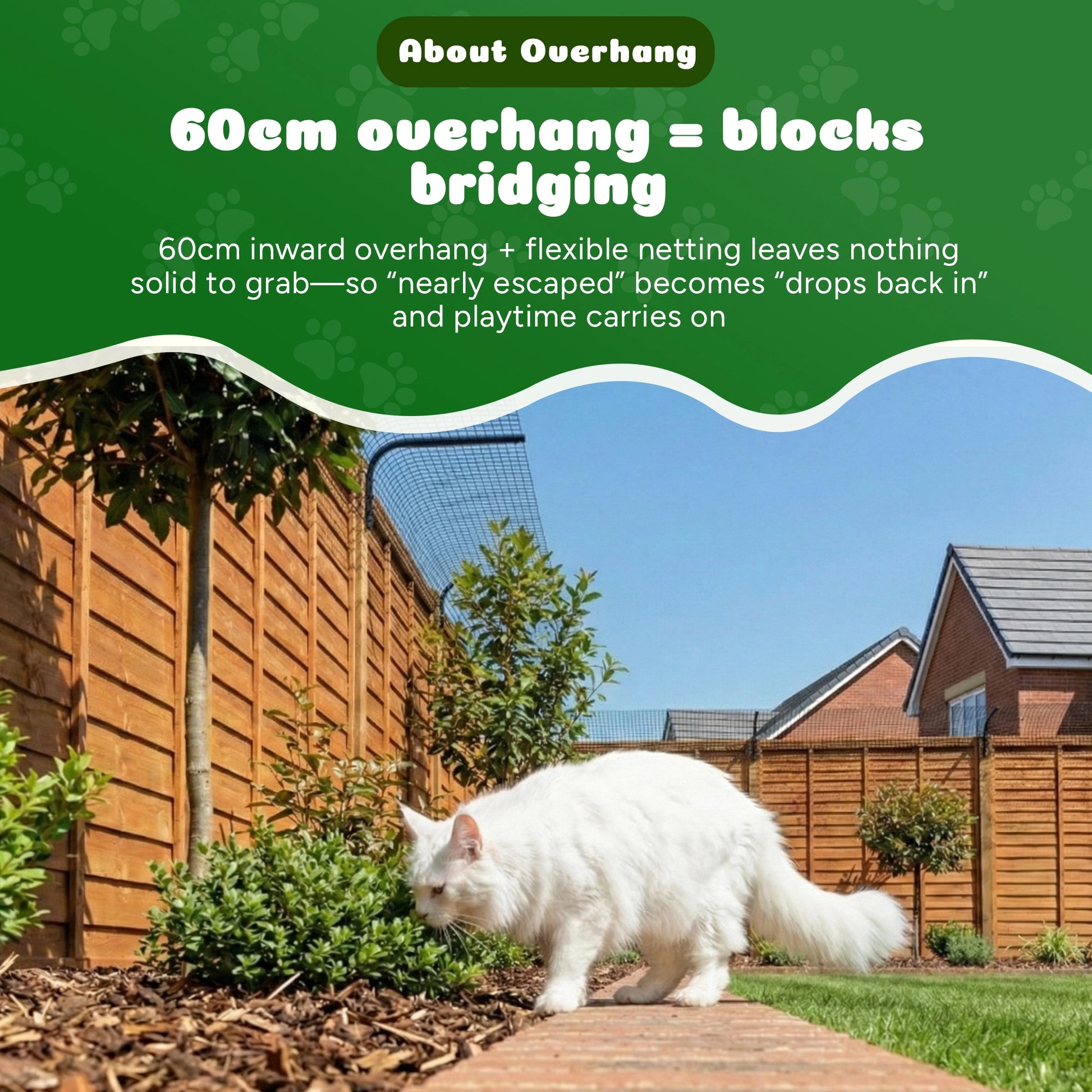 Whit cat contained in garden by cat fence barrier