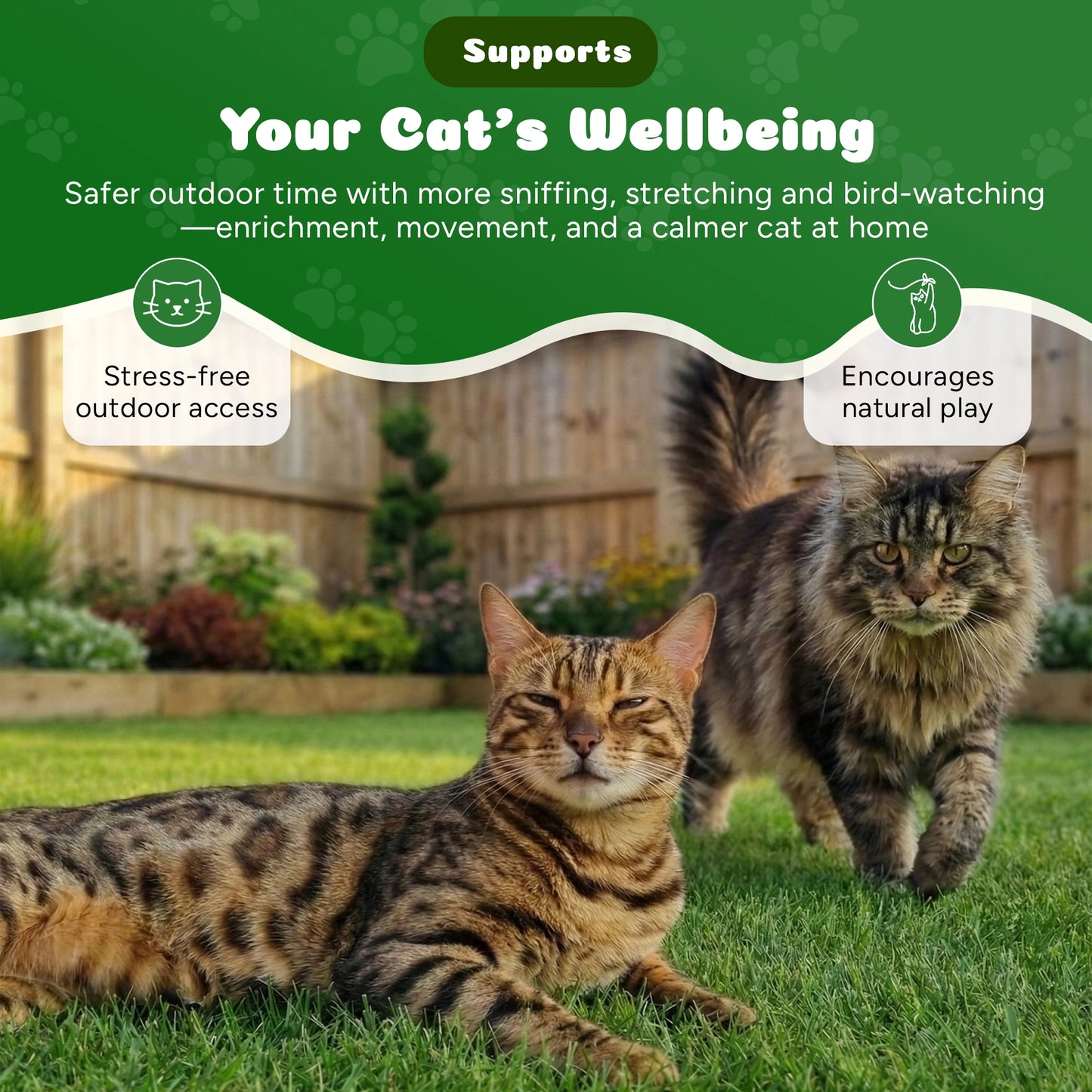 Two cats on grass with text about cat wellbeing and outdoor activities.