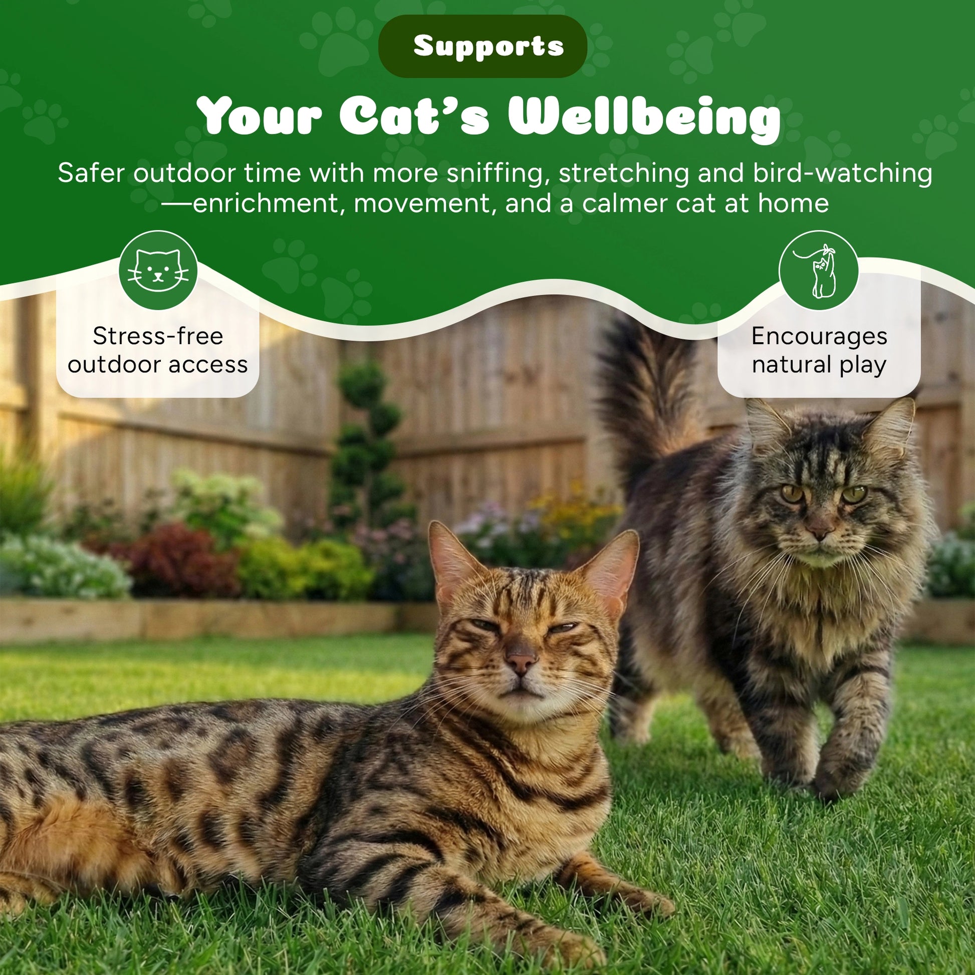 Two cats on grass with text about cat wellbeing and outdoor activities.